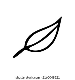 Hand drawn doodle simple leaf. Vector botanical element. Outline.