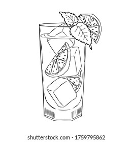 Hand drawn doodle sketch of alcoholic cocktails. Vector illustration of mojito cocktail with lime and mint ingredients. Design for decorating a restaurant menu, recipe, cards, labels.