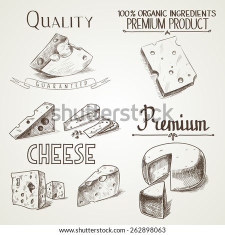 Hand drawn doodle sketch cheese with different premium quality types of cheeses in retro style stylized.