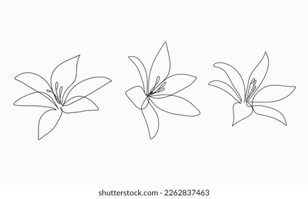 Hand drawn doodle sketch isolated abstract one line flower vector illustration single line art modern drawing minimalist orchid lilies lys graphic design trendy outline invitation card background