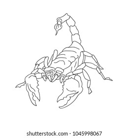 Hand Drawn Doodle Sketch Line Art Vector Illustration of Dangerous Thanatoid Venomous Scorpion. Astrology Sign. Cartoon Tattoo Card Poster Banner Black Outline Design Element Template