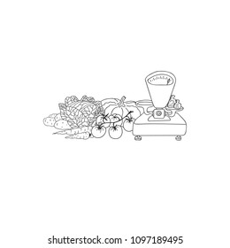 Hand Drawn Doodle Sketch Line Art Vector Illustration with Composition of Vegetables and Weighing Scales with Plummets. Cabbage Pumpkin Carrots Potatoes Tomatoes. Black Outline Design Element Template