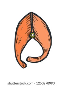 Hand Drawn Doodle Sketch Line Art Vector Illustration of Slice of Fish in Frontal View. Menu Poster Card Decoration Black Outline Design Element Template
