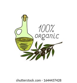 Hand Drawn Doodle Sketch Line Art Vector Illustration with Composition of Olive Oil Bottle Green Tree Branch Hand Lettering Organic
