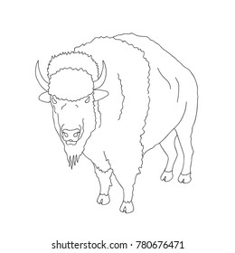 Hand Drawn Doodle Sketch Line Art Vector illustration of Wild Buffalo. Black Outline 
Logo Design Element. Coloring Book Page for Adults Kids. Wanderlust Nature Concept