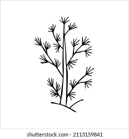 hand drawn doodle sketch tree