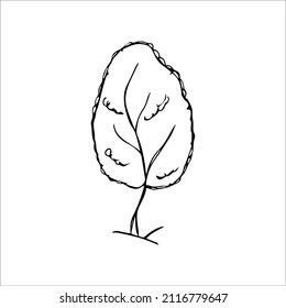 árbol de boceto dibujado a mano