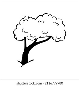 hand drawn doodle sketch tree