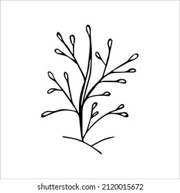 hand drawn doodle sketch tree
