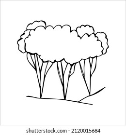 hand drawn doodle sketch tree
