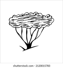 hand drawn doodle sketch tree