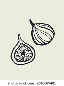 Vetor de esboço desenhado à mão de figo inteiro e dividido em metades, comida de verão mediterrânea no estilo dolce vita