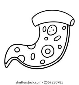 Hand drawn doodle slice of pizza isolated on white background. Vector illustration.