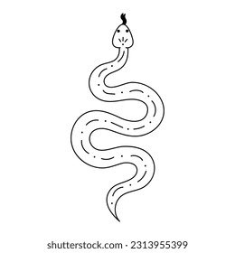 Hand drawn doodle snake isolated on white background. Vintage snake in trendy retro style, magical esoteric elements.