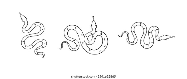 Dibujado a mano doodle serpiente vista superior conjunto de iconos. Dibujo de contorno de serpiente aislada sobre fondo blanco. Ilustración vectorial