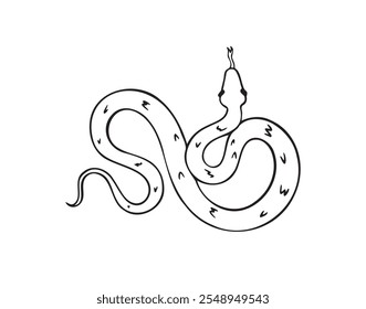 Dibujado a mano doodle serpiente icono de vista superior. Dibujo de contorno de serpiente aislada sobre fondo blanco. Ilustración vectorial