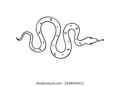 Dibujado a mano doodle serpiente icono de vista superior. Dibujo de contorno de serpiente aislada sobre fondo blanco. Ilustración vectorial