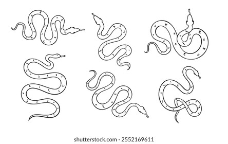 Dibujado a mano doodle serpiente vista superior conjunto de iconos. Dibujo de contorno de serpiente aislada sobre fondo blanco. Ilustración vectorial