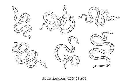 Hand drawn doodle snake top view icon set. Outline drawing isolated snake on white background. Vector illustration