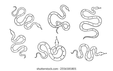 Hand drawn doodle snake top view icon set. Outline drawing isolated snake on white background. Vector illustration