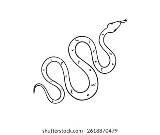 Hand drawn doodle snake top view icon. Outline drawing isolated snake on white background. Vector illustration