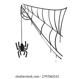 hand drawn doodle spider web illustration vector isolated background