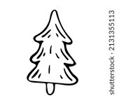 Hand drawn doodle spruce. Vector fir tree. Black and white forest plant. Outline. 
