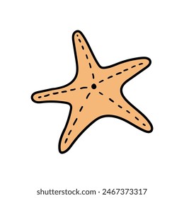 Hand drawn doodle starfish isolated on white background. Vector illustration.