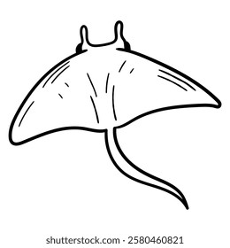 Hand drawn doodle stingray isolated on white background. Vector illustration.