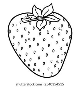 Hand drawn doodle strawberry isolated on white background. Vector illustration.