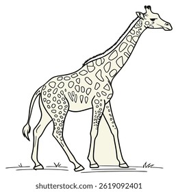 Animales, pájaros y Vectores de peces de estilo Doodle dibujado a mano