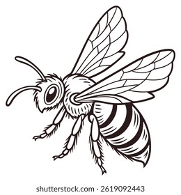 Hand Drawn Doodle Style Animals, Birds, and Fish Vectors