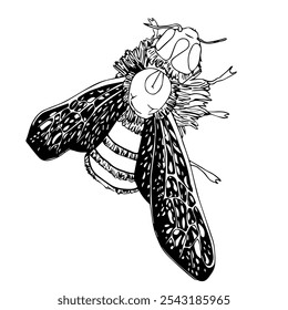 Abeja de estilo doodle dibujado a mano. Ilustración vectorial aislada sobre fondo blanco.