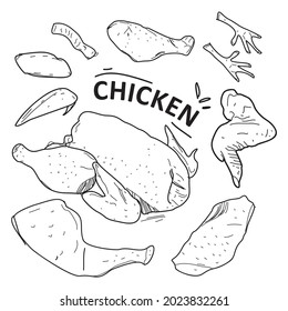 hand drawn doodle style chicken pieces set on white background