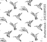 hand drawn doodle style pattern of colibri