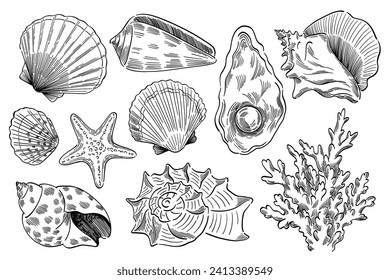 hand drawn doodle style pattern of seashells