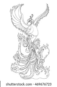 hand drawn and doodle style Phoenix,Line art Phoenix tattoo,Fire bird isolate on white background,Japanese and Chinese style,Art of Phoenix Physiology