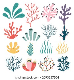 Hand drawn doodle style seaweed oceanic floral aquarium tropical plant. Vector flat cartoon graphic design isolated set