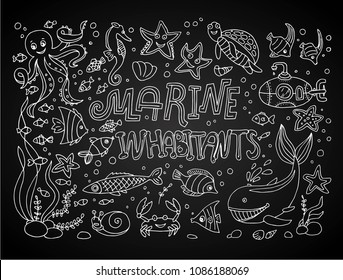 Hand drawn doodle style set of vector illustrations marine inhabitants.