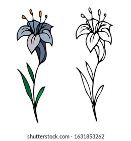 Hand drawn doodle style. Sketch of a flower in the imagination. coloring outlines. Stock vector illustration, color science theme, design element for pattern, decoration, children's coloring book 
