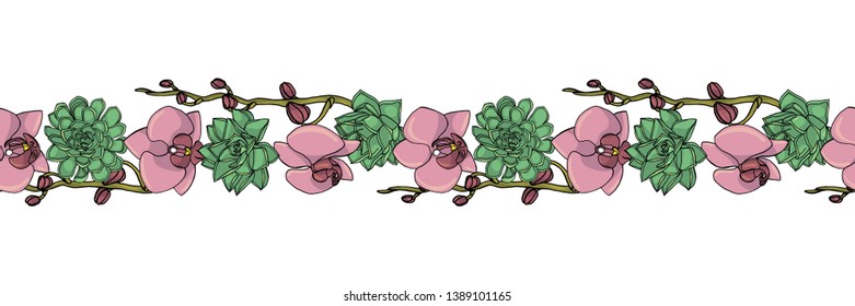 Hand drawn doodle style succulent and orchid flowers 
seamless brush, endless border. floral design element. isolated on white background. stock vector illustration