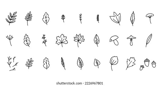 Dibujo a mano de doodle estilo vectorial conjunto de elementos de naturaleza del bosque otoñal como ramas y ramas, setas, bellotas, bayas, hojas de arce, roble, abedul, álamos. Esbozo negro aislado en blanco