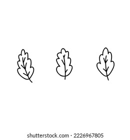 Hand drawn doodle style vector illustration set of oak leaf. Black sketch isolated on white