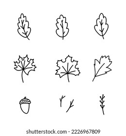 Hand drawn doodle style vector illustration set of fall forest nature elements such as twigs and branches, mushroom, acorns, berries, leaves of maple, oak, birch, aspen. Black sketch isolated on white