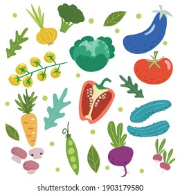 Hand drawn doodle style vegetables set. Tomatoes, cabbage, pea, cucumbers, carrot, eggplant, mushroom etc. Vector illustrations collection isolated on white background.