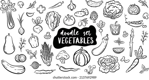 Hand drawn doodle style vegetables isolated on white background. Vector illustration for banners, websites, menu design, packaging, cookbook or advertising.