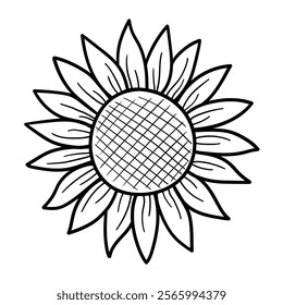 Hand drawn doodle sunflower isolated on white background. Vector illustration.