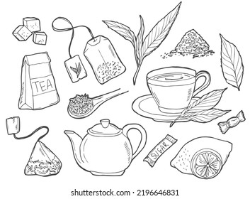 Hand drawn doodle Tea time icon set. Vector illustration. Isolated drink symbols collection. Cartoon various beverage element: mug, cup, teapot, leaf, bag