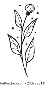 Hierba del cardo dibujada a mano, ilustración vectorial aislada con fondo blanco