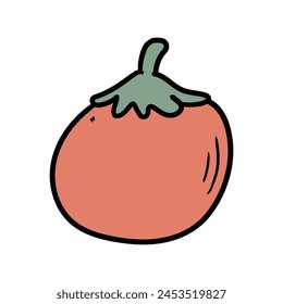Tomate dibujado a mano del garabato aislado sobre fondo blanco. Ilustración vectorial.